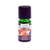 2025 activ oil